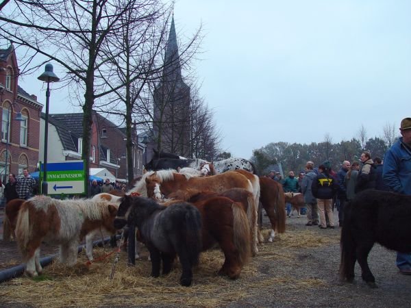 paardenmarkt20041.jpg