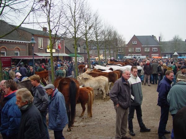 paardenmarkt200412.jpg