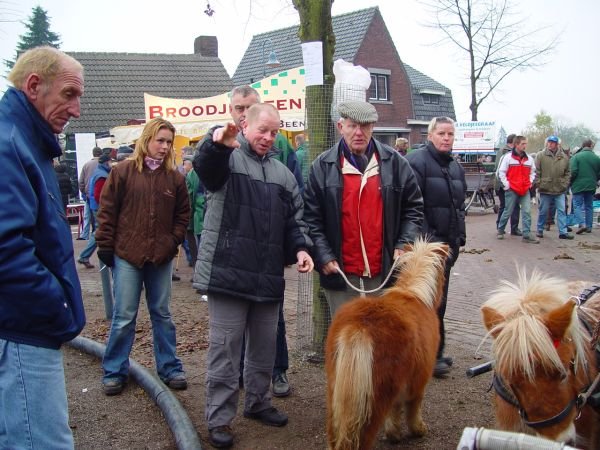 paardenmarkt200418.jpg