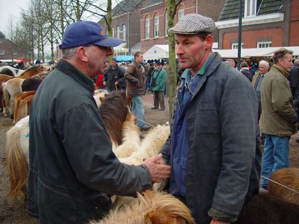 paardenmarkt200424.jpg