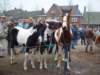 paardenmarkt200427_small.jpg