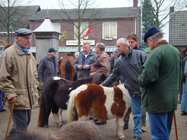 paardenmarkt200428.jpg