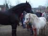 paardenmarkt200429_small.jpg