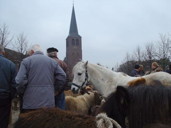 paardenmarkt20046.jpg
