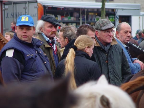 paardenmarkt20049.jpg