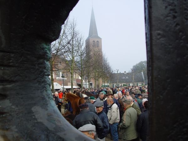 paardenmarkt200516.jpg