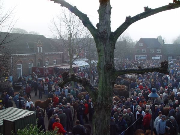 paardenmarkt200517.jpg