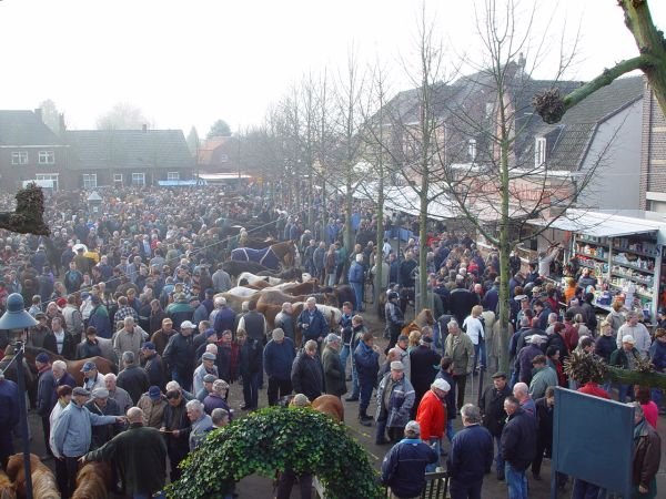 paardenmarkt200518.jpg