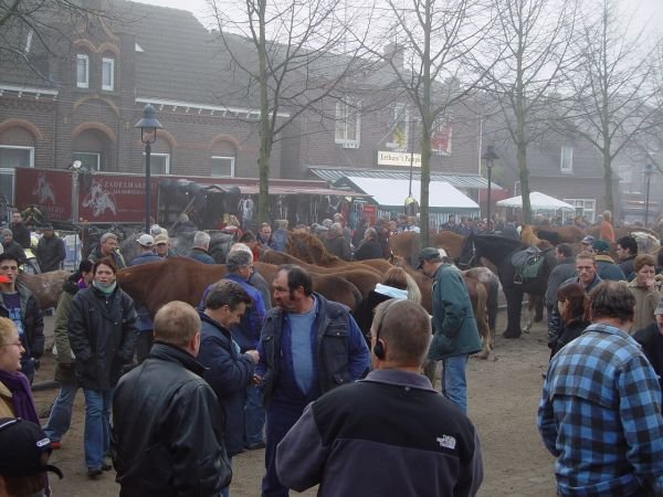 paardenmarkt20052.jpg