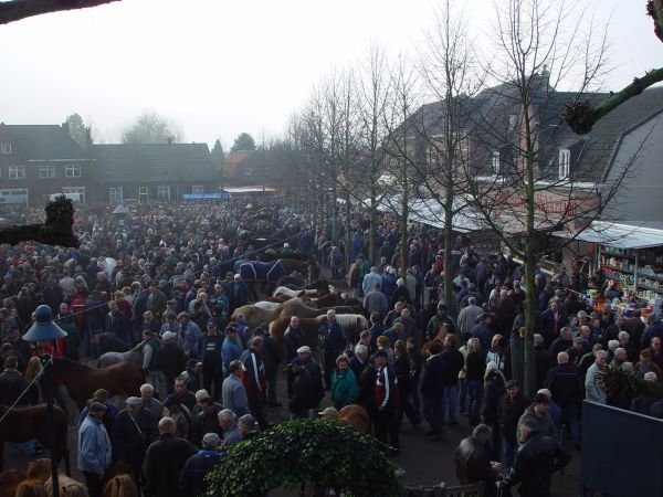 paardenmarkt200521.jpg
