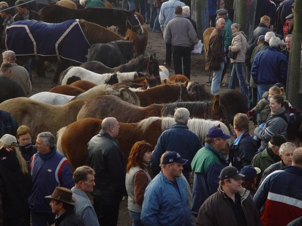 paardenmarkt200522.jpg