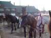 paardenmarkt200533_small.jpg