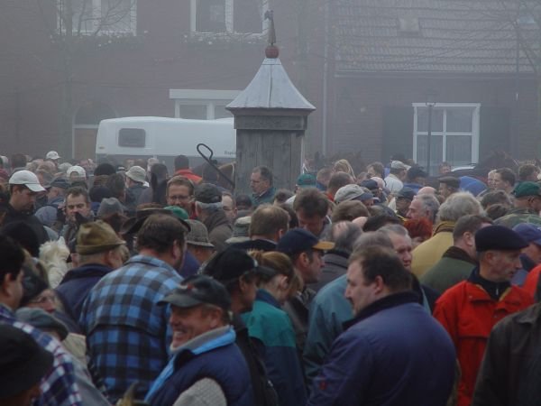 paardenmarkt20056.jpg