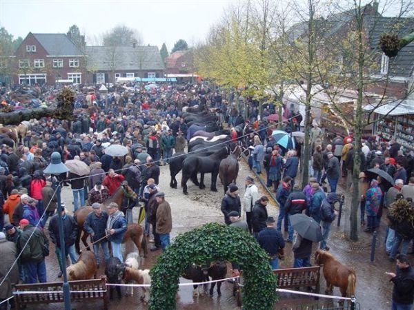 paardenmarkt200611.jpg