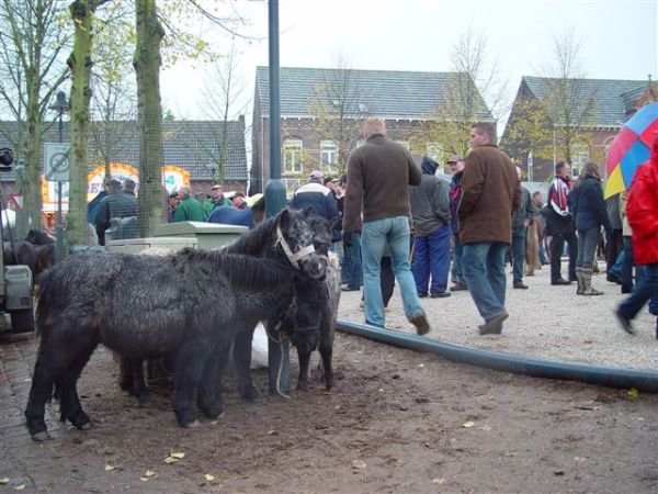 paardenmarkt200620.jpg