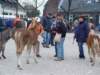 paardenmarkt200630_small.jpg
