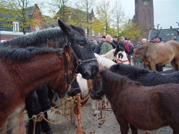 paardenmarkt20066.jpg
