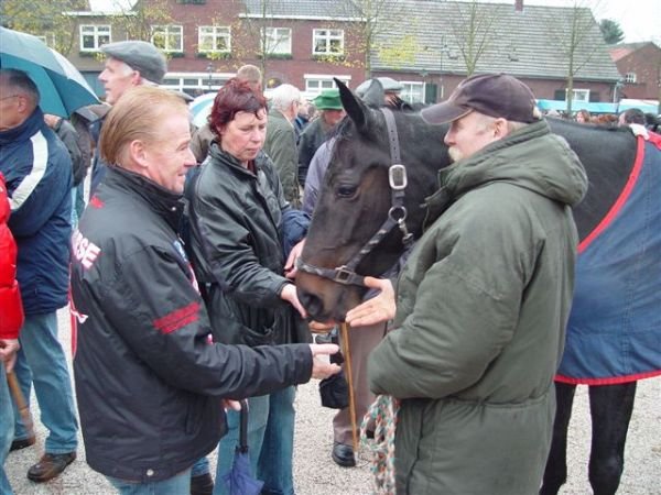 paardenmarkt20068.jpg
