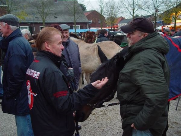 paardenmarkt20069.jpg