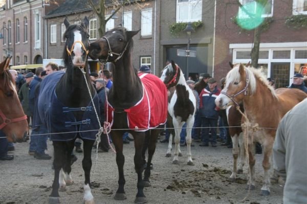 paardenmarkt200723.jpg