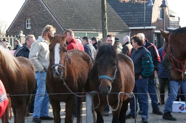 paardenmarkt200724.jpg