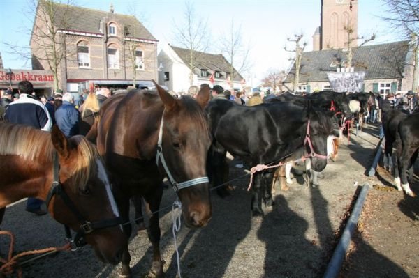 paardenmarkt200727.jpg