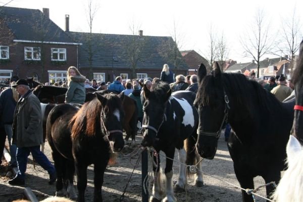 paardenmarkt200728.jpg