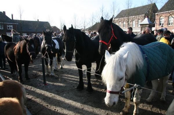 paardenmarkt200730.jpg
