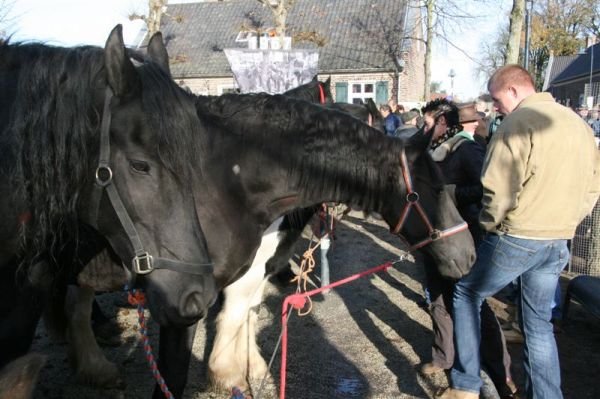 paardenmarkt200732.jpg