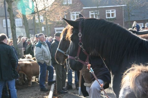 paardenmarkt200733.jpg