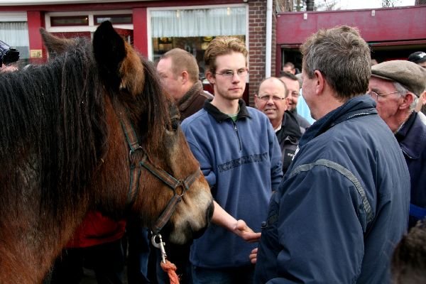 paardenmarkt25.jpg