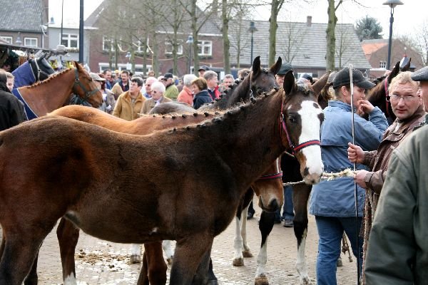 paardenmarkt31.jpg