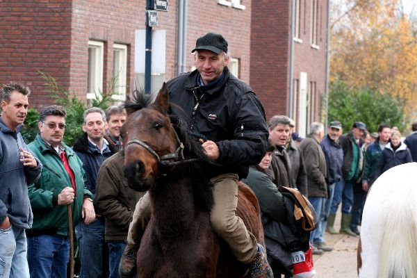 paardenmarkt36.jpg