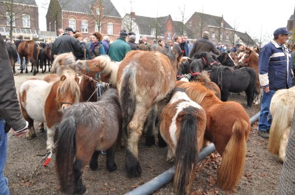 paardenmarktlottum22.jpg
