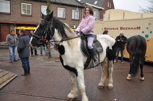 paardenmarktlottum25.jpg