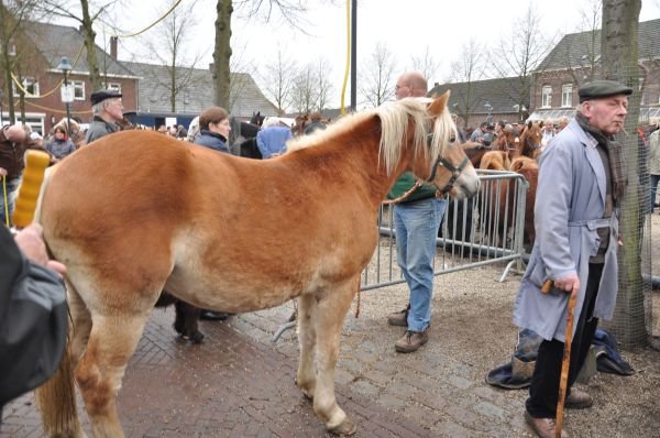 paardenmarktlottum27.jpg